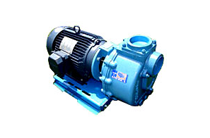 CDS John Blue Centrifugal Pumps to Eletric Motors